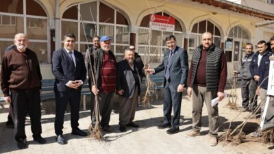 Kütahya Belediyesi tarafından Park ve Bahçeler Müdürlüğü koordinasyonunda düzenlenen kiraz