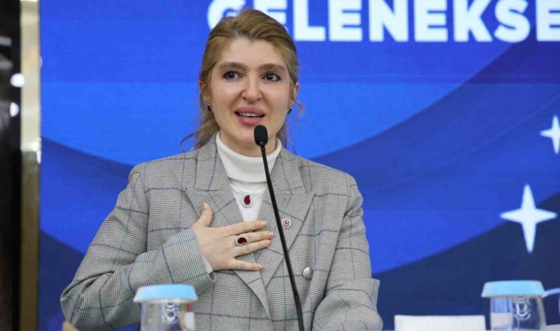 AK Parti Malatya Milletvekili İnanç Siraç Kara Ölmeztoprak, AK Parti