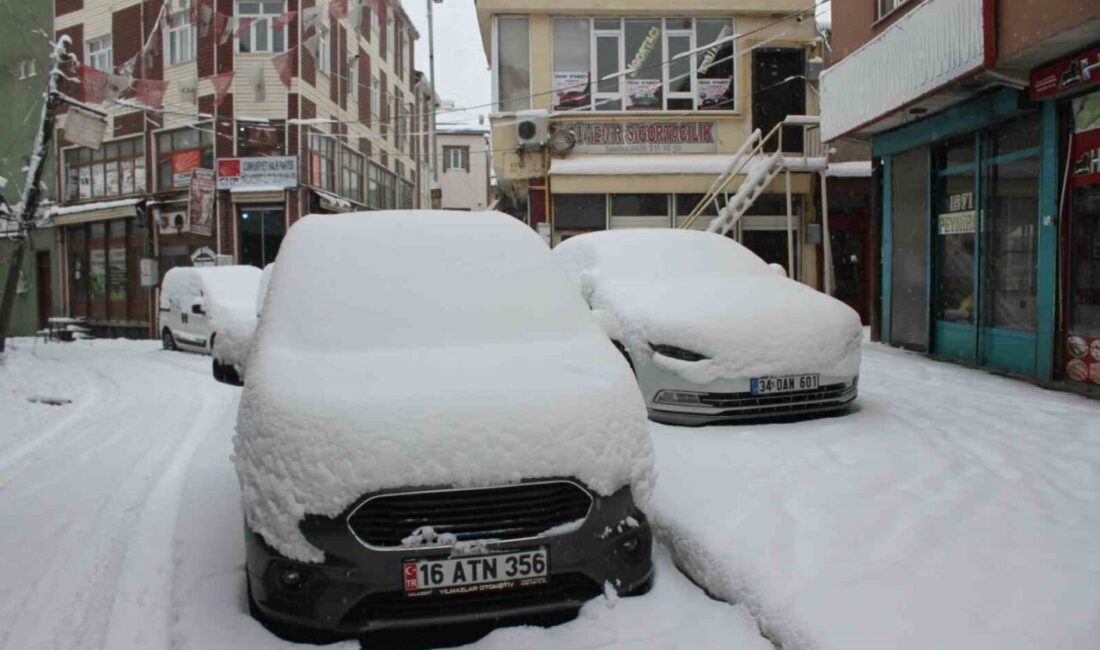 MUŞ (İHA) – Muş’un Malazgirt ilçesinde Mart ayının ilk haftasında