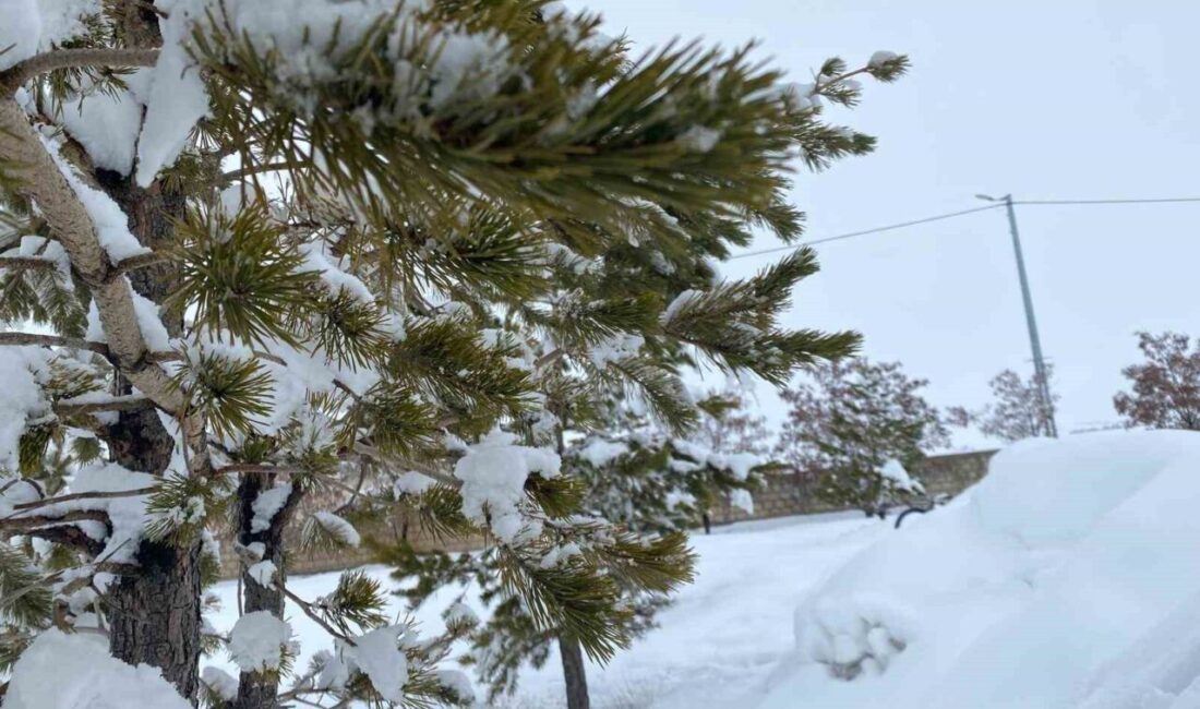 Mart ayının başlamasıyla birlikte Ağrı’da soğuk ve yağışlı hava etkisini