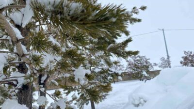 Mart ayının başlamasıyla birlikte Ağrı’da soğuk ve yağışlı hava etkisini