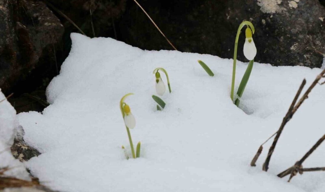 Konya’nın Toros Dağları eteklerinde yer alan Hadim ilçesinde, Mart ayında