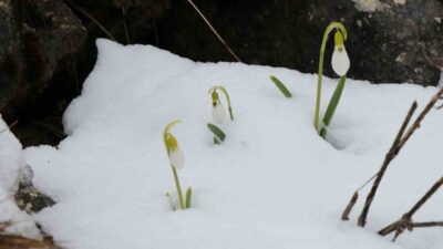 Konya’nın Toros Dağları eteklerinde yer alan Hadim ilçesinde, Mart ayında
