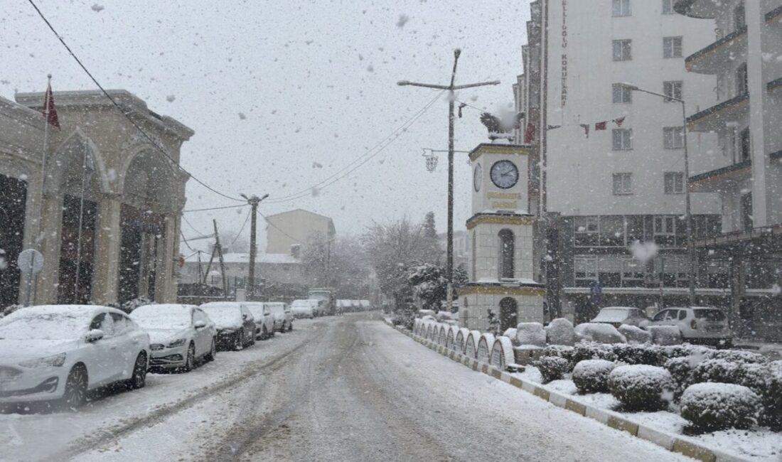 Mardin’in Mazıdağı ilçesinde mart ayında etkili olan kar yağışı ilçeyi