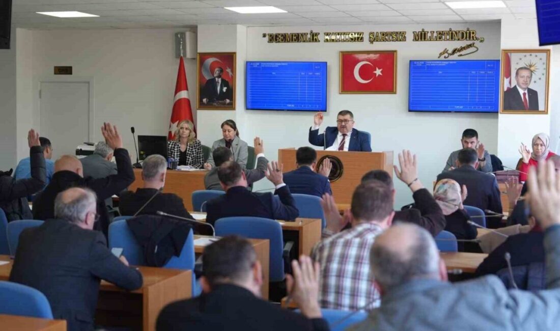 Düzce Belediye Meclisi mart ayı ikinci birleşimi, Meclis Başkan Vekili