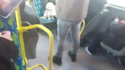 İstanbul’da metrobüs’te çekilen görüntüler sosyal medyada büyük yankı uyandırdı. Metrobüse