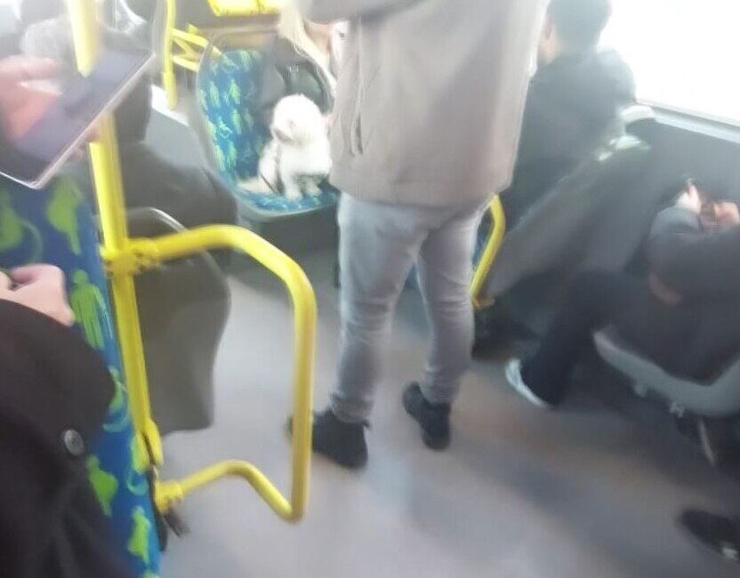 İstanbul’da metrobüs’te çekilen görüntüler sosyal medyada büyük yankı uyandırdı. Metrobüse