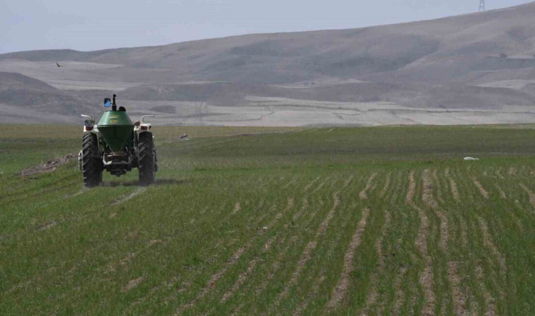 Yozgat’ta çiftçiler yeni üretim sezonuna yoğun mesaiyle başladı. Gübrelemenin verimi