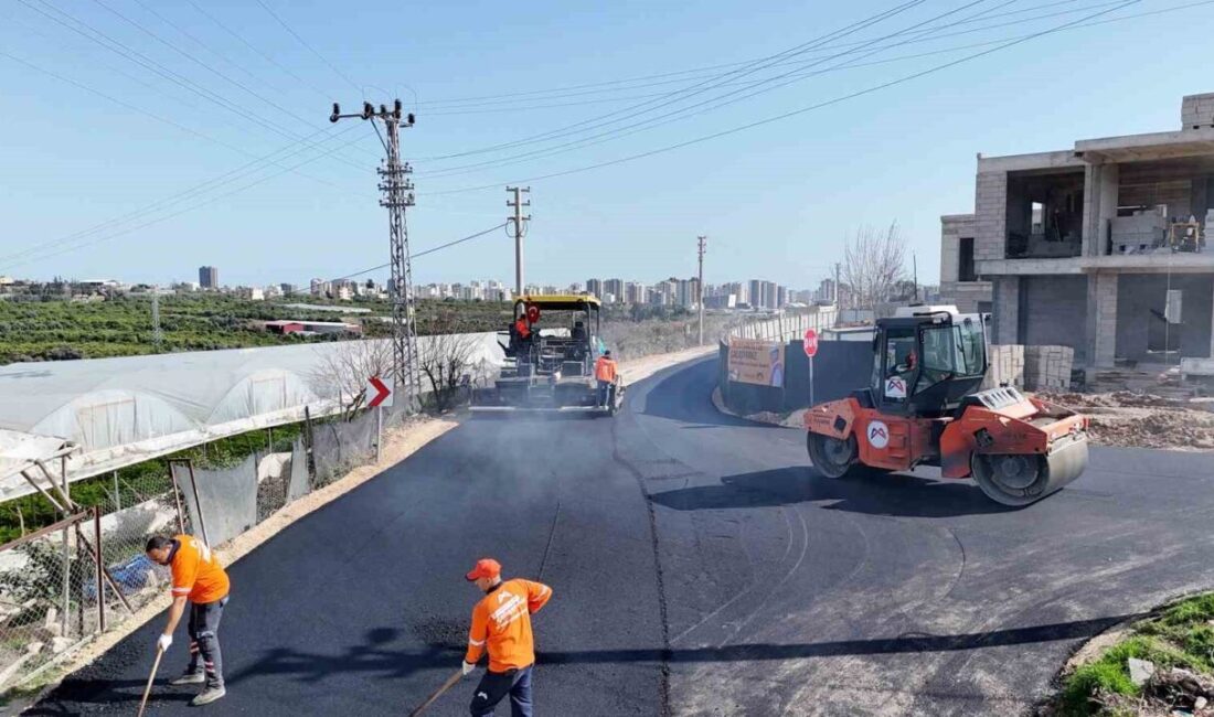 Mersin Büyükşehir Belediyesi Yol Yapım Bakım ve Onarım Dairesi Başkanlığı