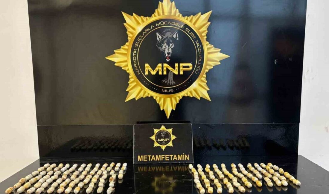 Muş’ta uygulama noktasında durdurulan yolcu otobüsünde yapılan kontrolde, İran uyruklu