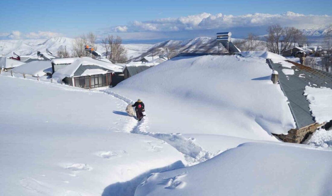Muş’ta kış mevsimi boyunca etkili olan yoğun kar yağışı nedeniyle