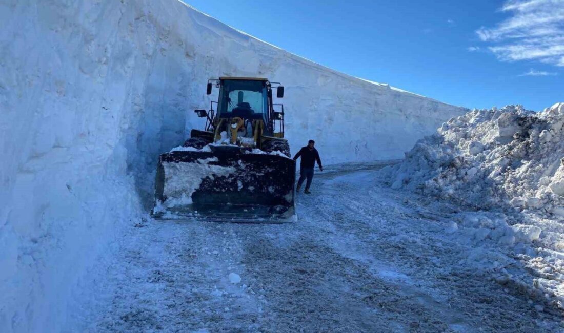 Muş’ta geçtiğimiz hafta etkili olan kar yağışının ardından kapanan köy
