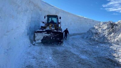 Muş’ta geçtiğimiz hafta etkili olan kar yağışının ardından kapanan köy