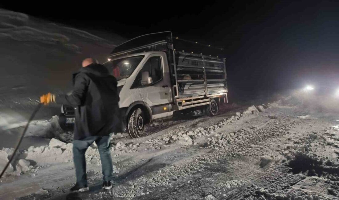 Muş’ta mart ayında etkisini artıran yoğun kar yağışı ve tipi