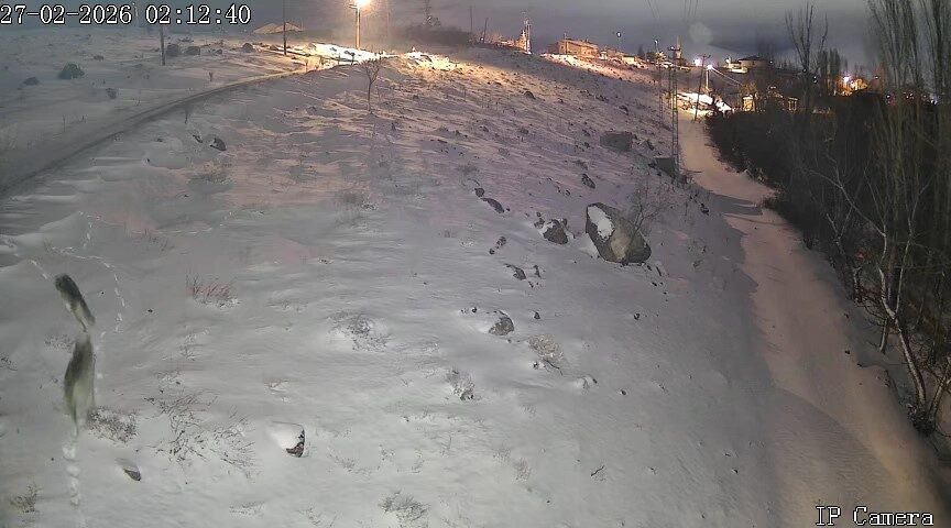 Niğde’de kırsalda yerleşim yerine inen kurtlar güvenlik kameralarına yansıdı. Merkeze