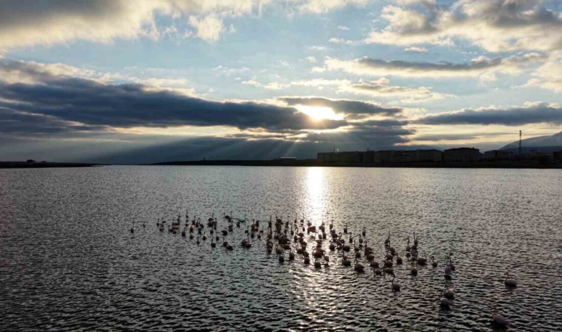 Niğde’nin Akkaya Barajı, göç yolundaki özel misafirlerini ağırlamaya başladı. Baharın