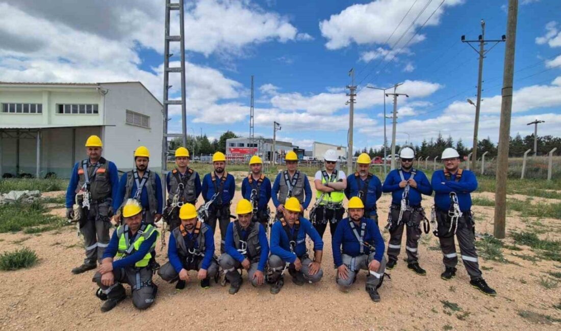 Elektrik dağıtım şirketi OEDAŞ, başta deprem olmak üzere tüm afetlere