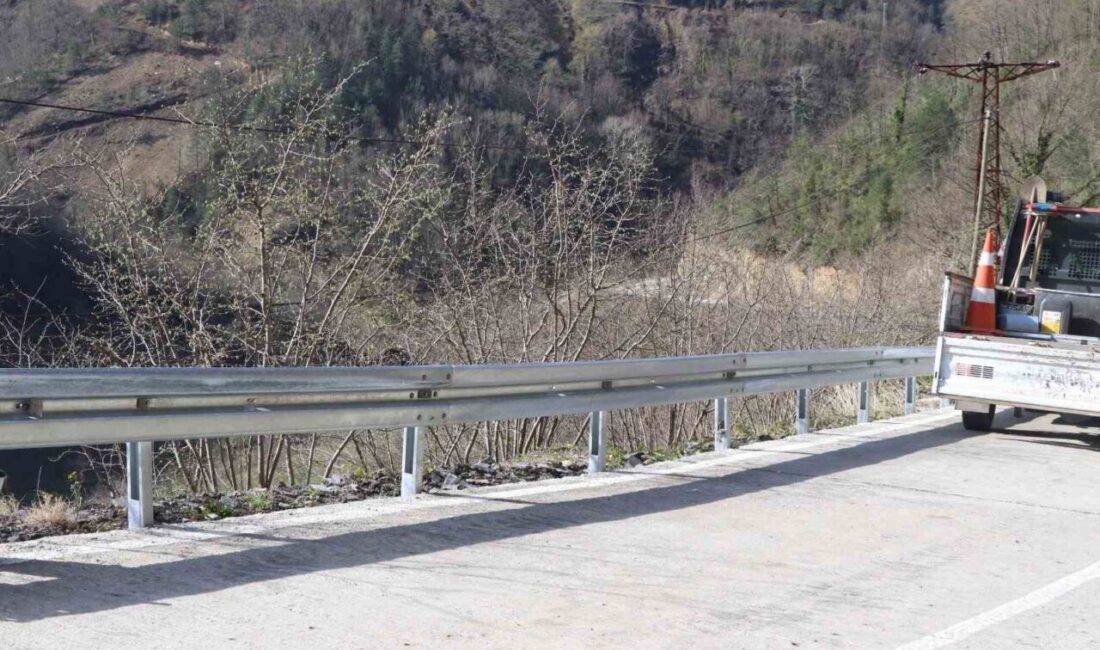 Samsun’un Ayvacık ilçesinde son dönemde meydana gelen ölümlü trafik kazalarının
