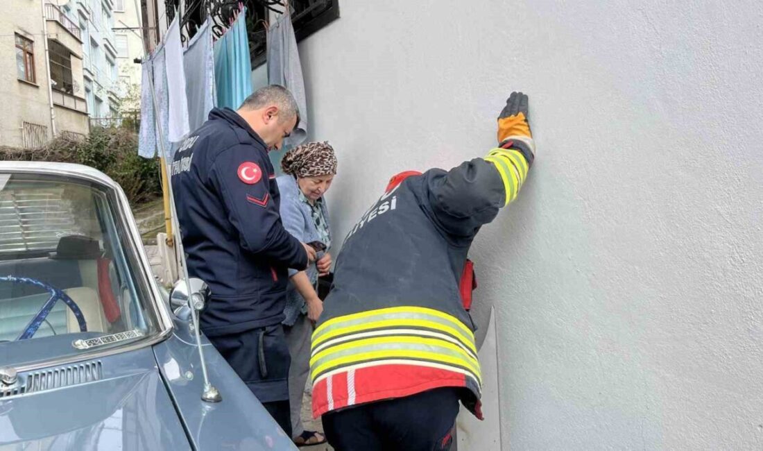 Ordu’nun Ünye ilçesinde bir apartmanın bodrum katından gelen kedi sesleri,