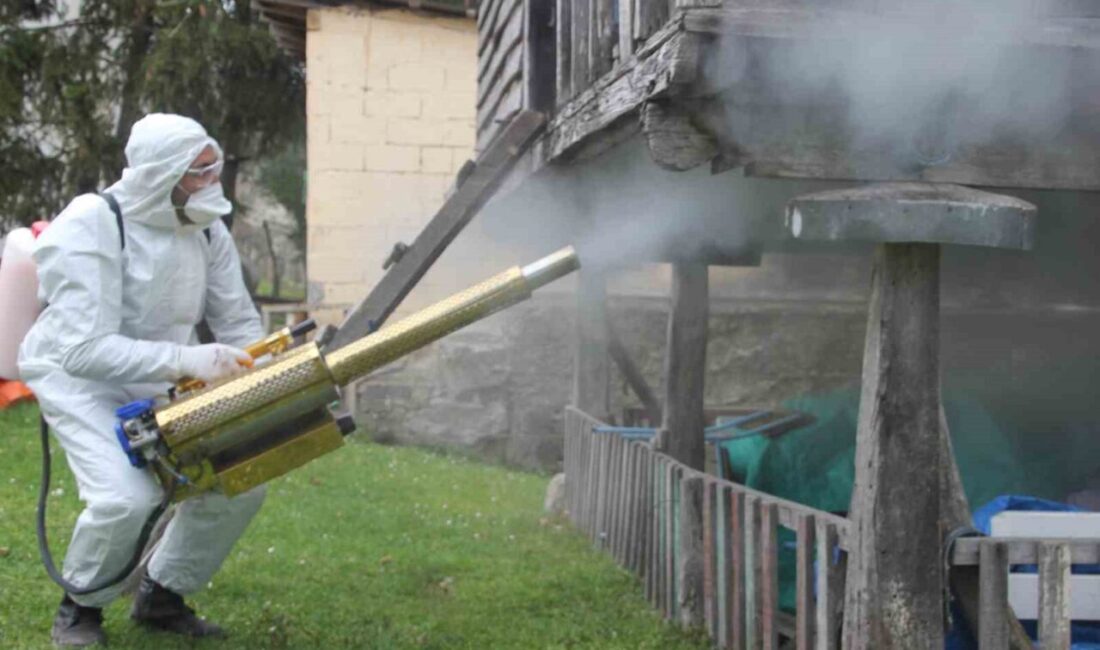 Ordu İl Tarım ve Orman Müdürü Bayram Ay, fındık başta