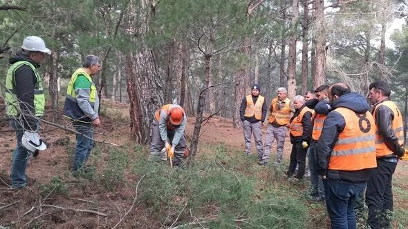 Balıkesir’in Edremit İlçesinde, Kazdağlarında orman üretim işçileri için mesleki yeterlilik