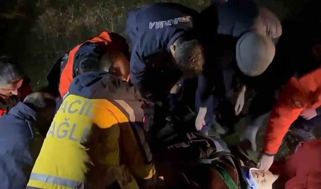 Bartın’da yalnız yaşayan ve hayvanlarını aramak için gittiği ormanda kaybolan