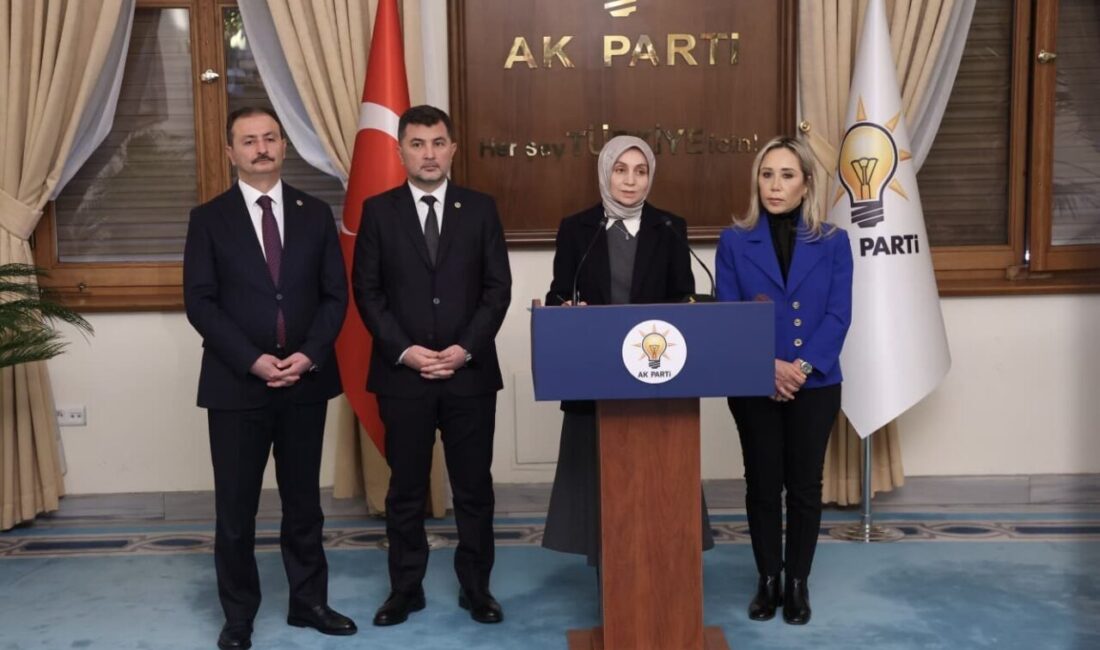 AK Parti Düzce Milletvekili Ercan Öztürk, Sosyal hizmetler kanunu ve