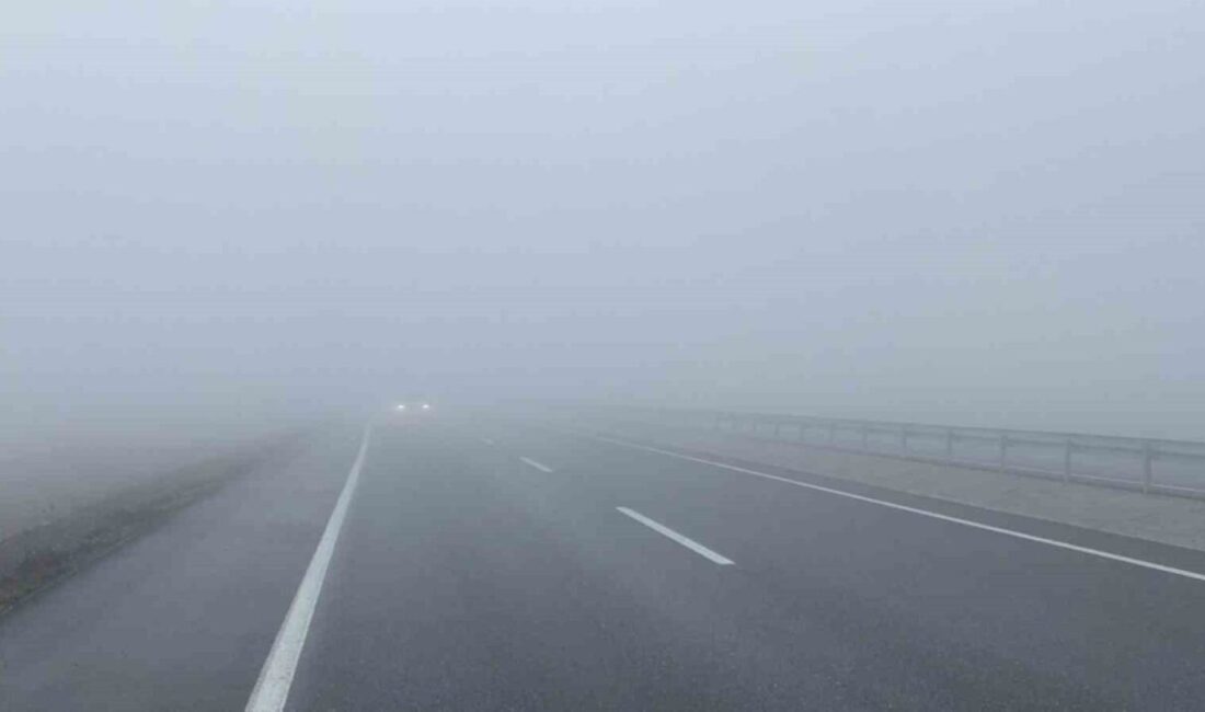 Iğdır-Doğubayazıt karayolunun 18. kilometresinde bulunan Pamuk Geçidi’nde etkili olan yoğun