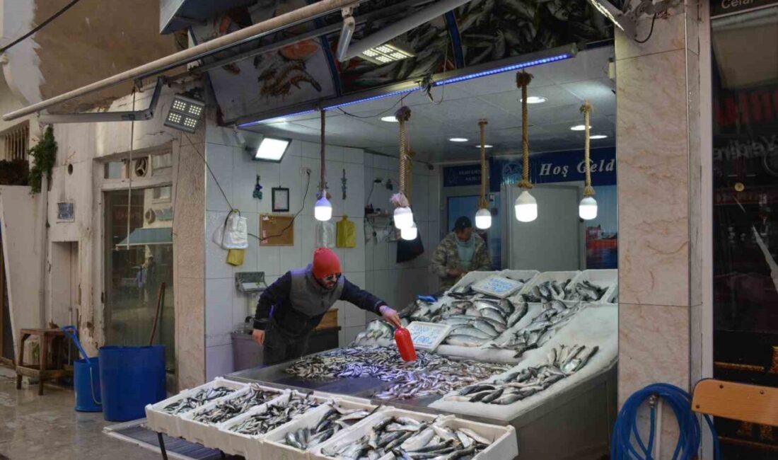 Karadeniz’in önemli balıkçılık merkezlerinden Sinop’ta Ramazan ayında da tezgâhlar hareketliliğini