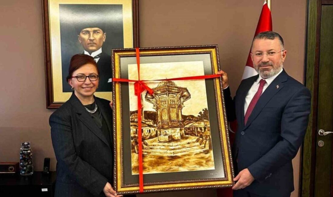 Karabük Üniversitesi (KBÜ) Rektörü Prof. Dr. Fatih Kırışık, Maltepe Üniversitesi