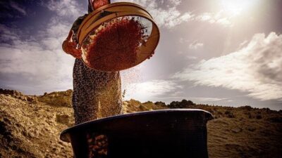 Salihli Fotoğraf Derneği (SALFOD) kadın üyelerinin objektifinden yansıyan “Hayatın İçinden