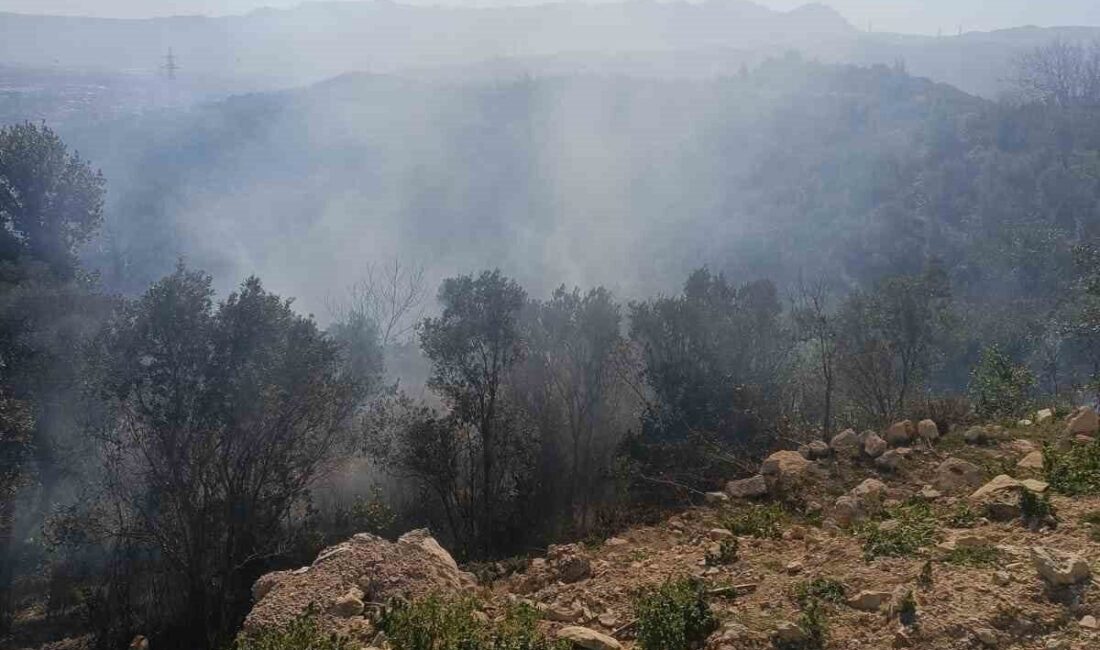 Hatay’ın Samandağ ilçesinde ilçesinde ormanlık alanda yaşanan yangın büyümeden kısa