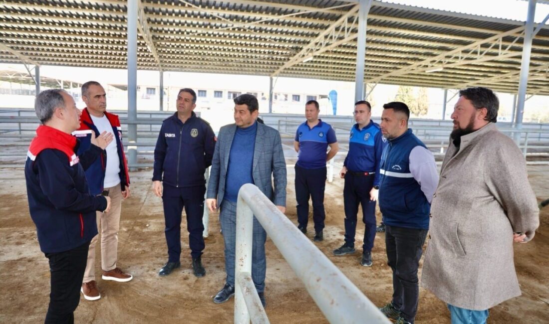 Aydın’ın Çine ilçesinde şap hastalığı nedeniyle yaklaşık 9 aydır kapalı