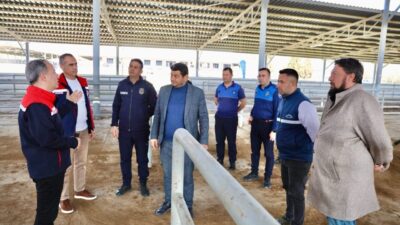 Aydın’ın Çine ilçesinde şap hastalığı nedeniyle yaklaşık 9 aydır kapalı