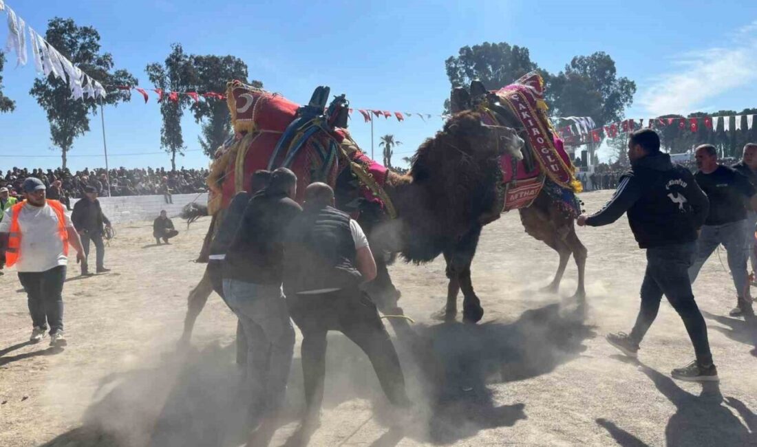 Şap hastalığı nedeniyle uygulanan karantina tedbirlerinin kaldırılmasının ardından sezonun ilk