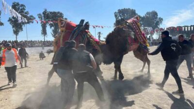Şap hastalığı nedeniyle uygulanan karantina tedbirlerinin kaldırılmasının ardından sezonun ilk