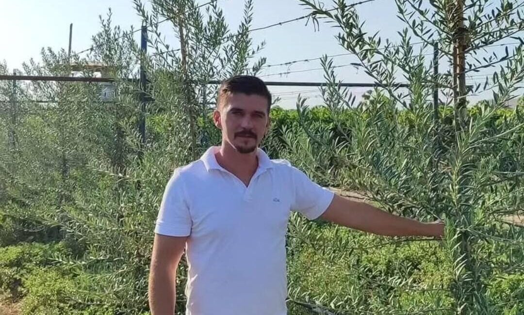 Manisa’nın Sarıgöl ilçesinde, yüksek verimi ve kalitesiyle üreticinin yüzünü güldüren