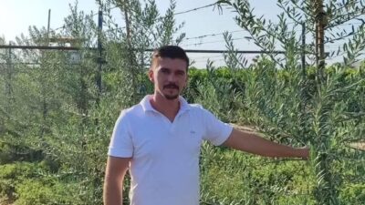 Manisa’nın Sarıgöl ilçesinde, yüksek verimi ve kalitesiyle üreticinin yüzünü güldüren