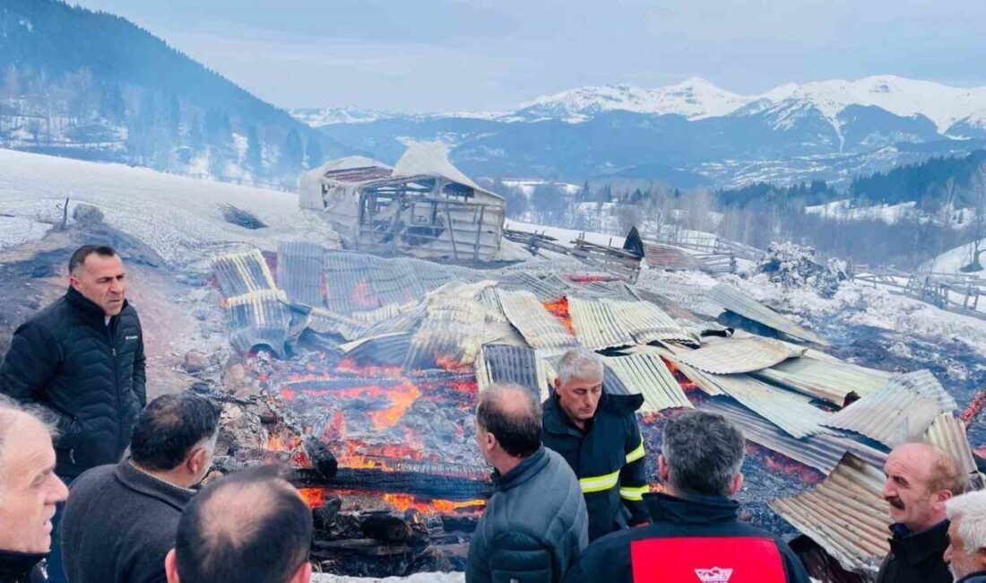 Şavşat’ın Karaköy köyünde çıkan yangında 1 ev, 2 ahır ve