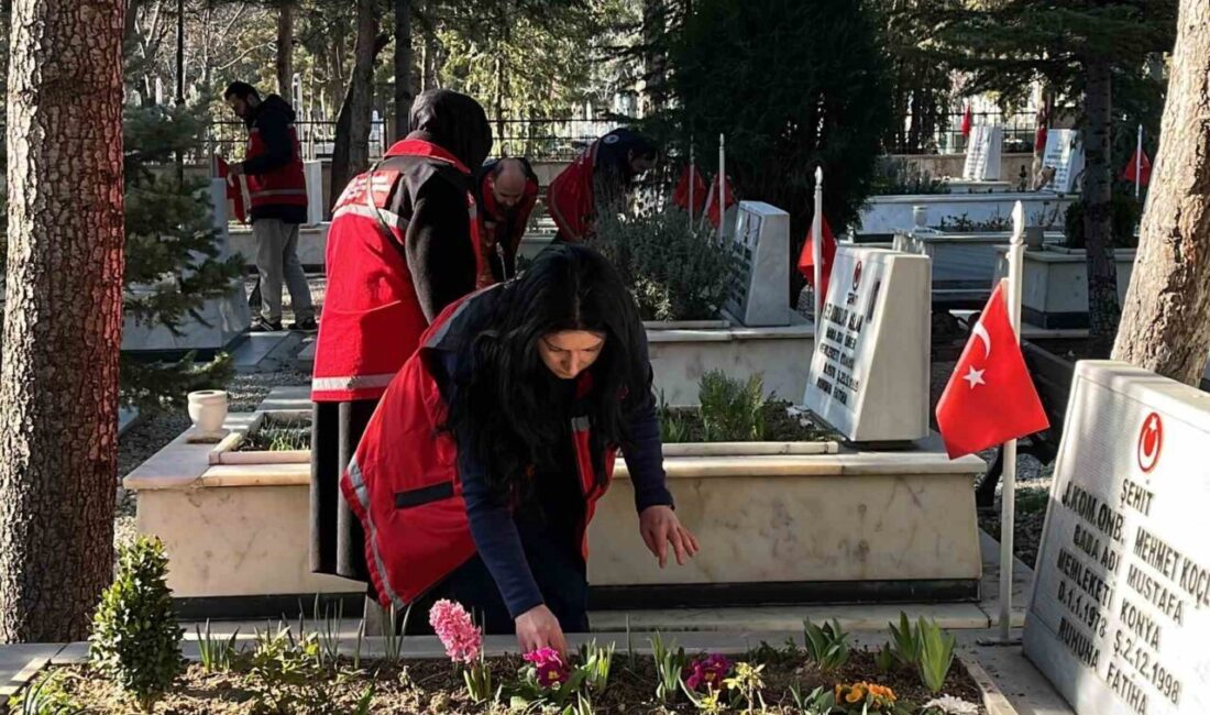 Aile ve Sosyal Hizmetler Bakanlığı koordinasyonunda Türkiye genelinde şehit kabirlerinin