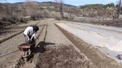 Manisa’nın Selendi ilçesinin geçim kaynağının başında gelen tütünde yeni sezon