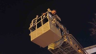 Siirt’in Kurtalan ilçesinde ağaçta mahsur kalan bir kedi, itfaiye ekiplerinin