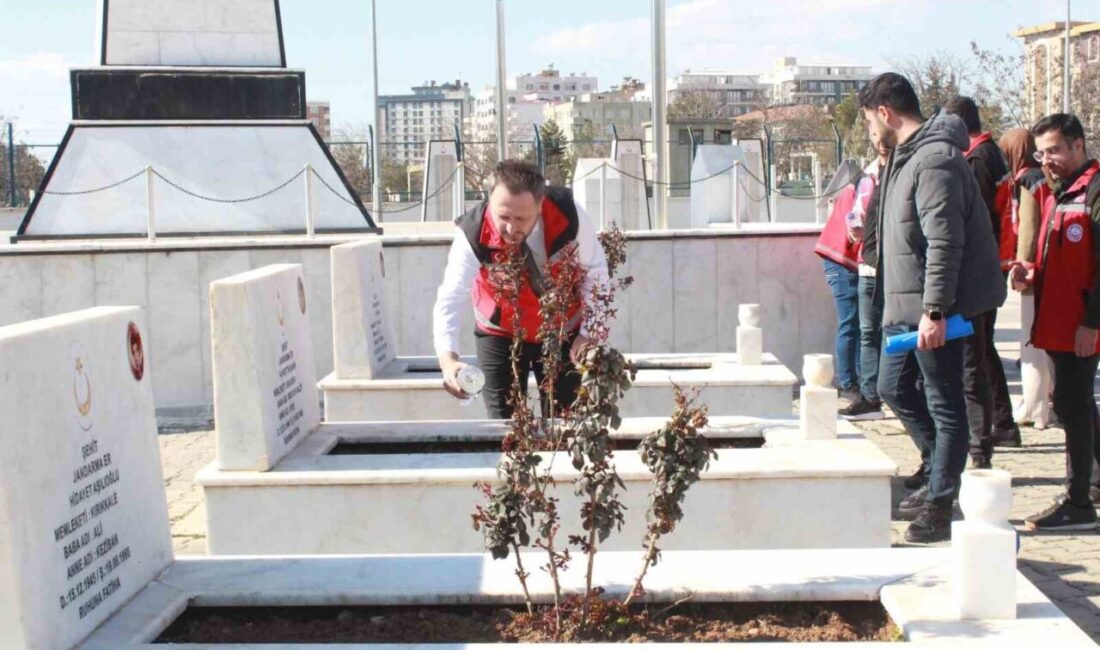 Siirt Aile ve Sosyal Hizmetler İl Müdürlüğünce şehitliklerde temizlik, bakım,