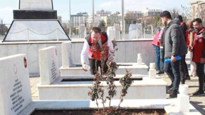 Siirt Aile ve Sosyal Hizmetler İl Müdürlüğünce şehitliklerde temizlik, bakım,
