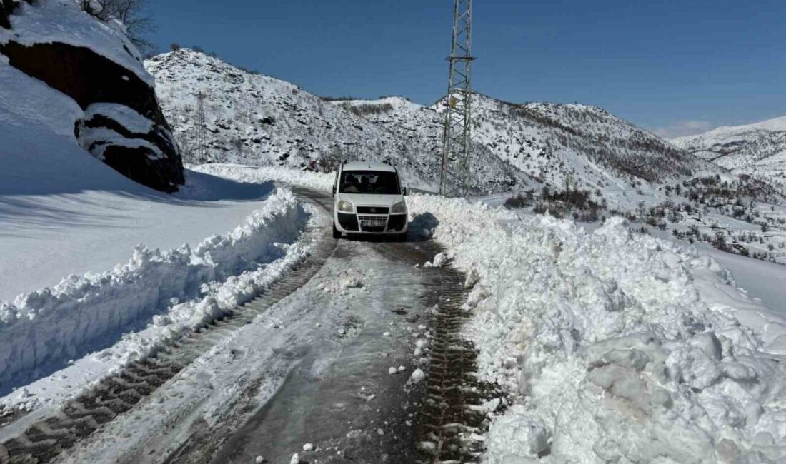 Siirt İl Özel İdaresi ekipleri, bölgede etkili olan yoğun kar