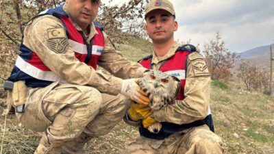 Siirt’in Eruh ilçesinde yaralı halde bulunan nesli tükenme tehlikesi altındaki