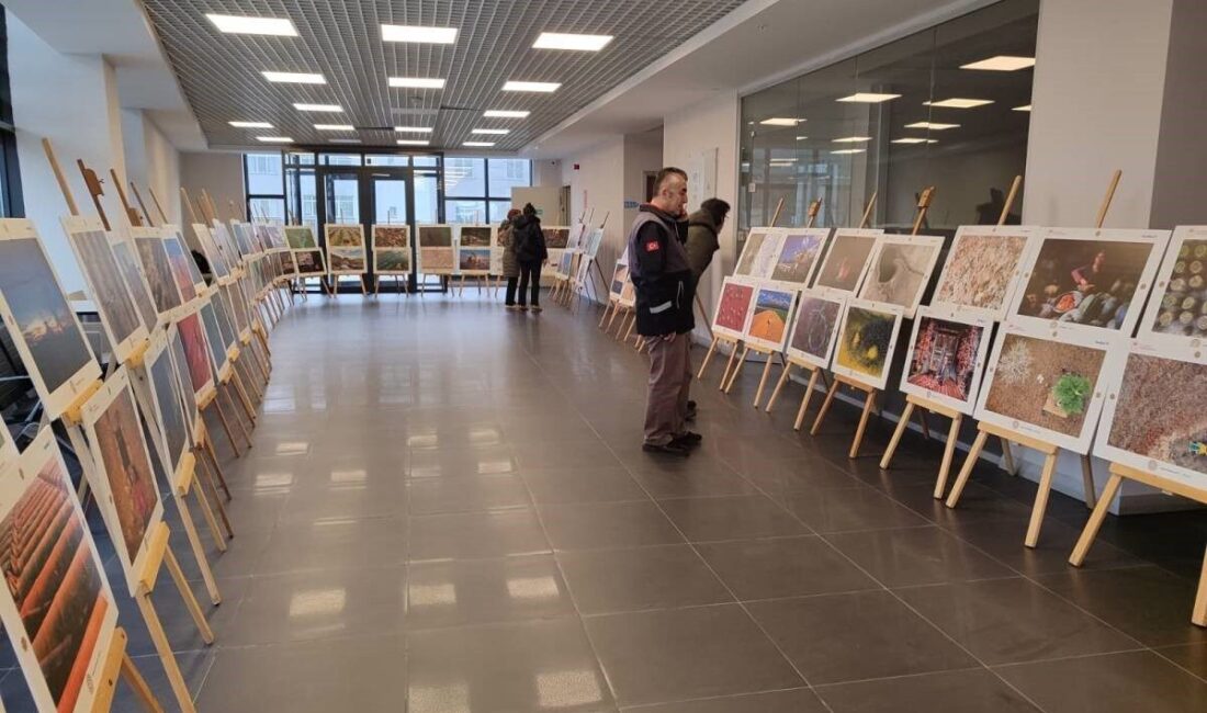 Tarım ve Orman Bakanlığı tarafından düzenlenen Uluslararası Tarım, Orman ve