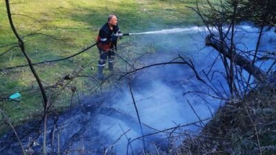 Sinop’un Ayancık ilçesinde yerleşim yerlerine yakın bir bahçede çıkan anız