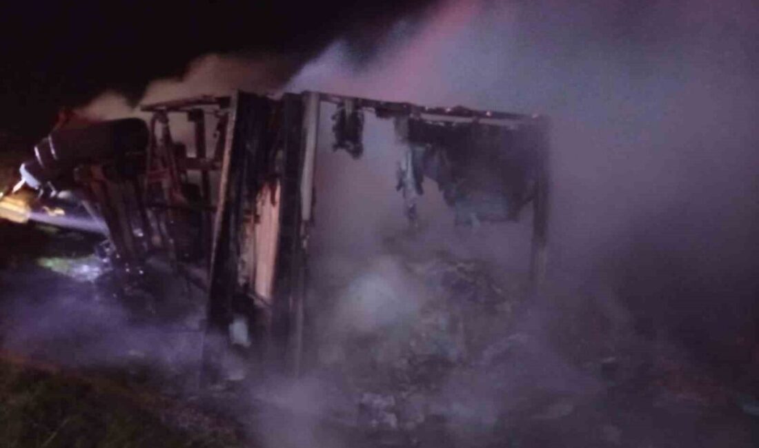 Şırnak’ta seyir halindeki mandalina yüklü tır alevlere teslim oldu. İtfaiye