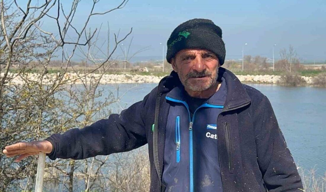 Bursa’nın Karacabey ilçesinde 22 yıldır süt inekçiliği yapan 62 yaşındaki